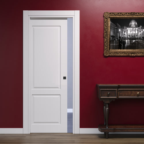 Classic Panelled Sliding Door with 2 Panels